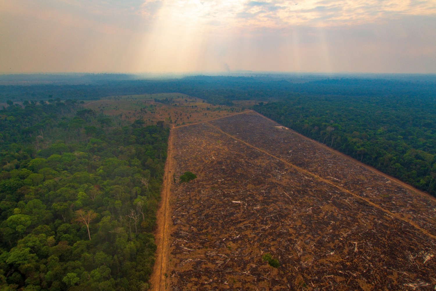 desmatamento-amazonia-1583883706