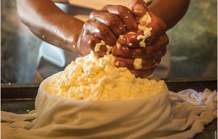 fabricando queijo mineiro canastra