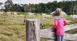 garotinha subindo na porteira - nova geracao do agronegocio