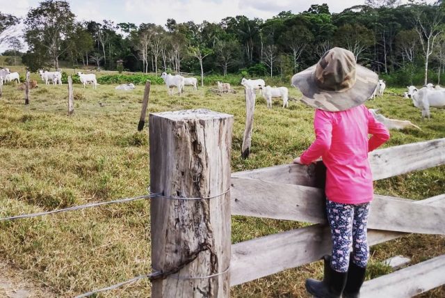 garotinha subindo na porteira - nova geracao do agronegocio garotinha subindo na porteira - nova geracao do agronegocio