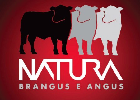 programa natura angus e brangus