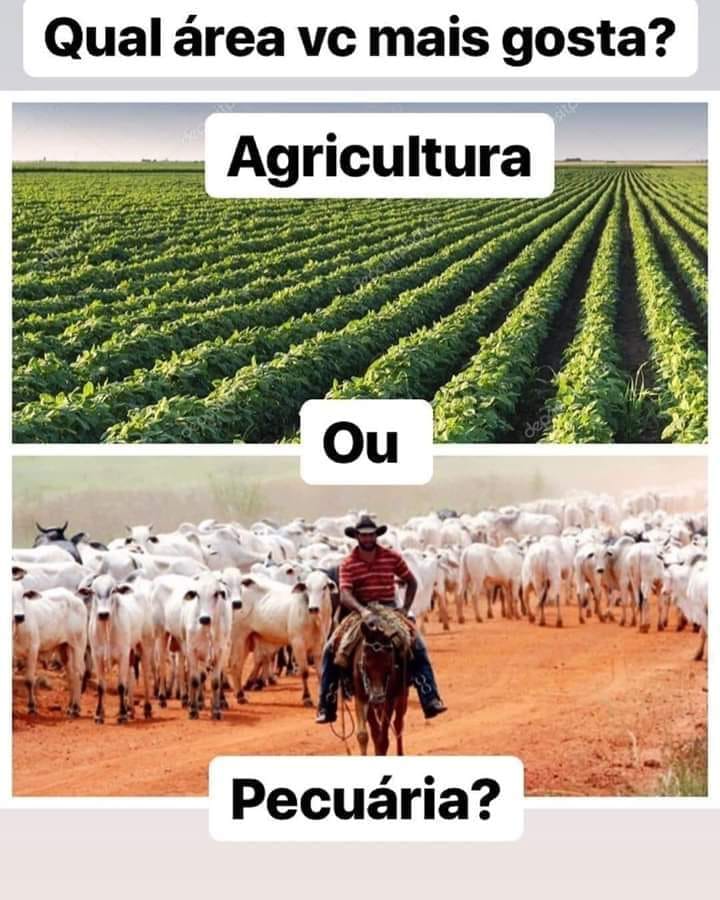 qual area vc mais gosta- agricultura ou pecuaria