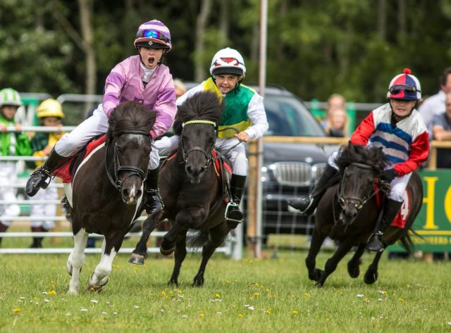shetland-pony-grand-national
