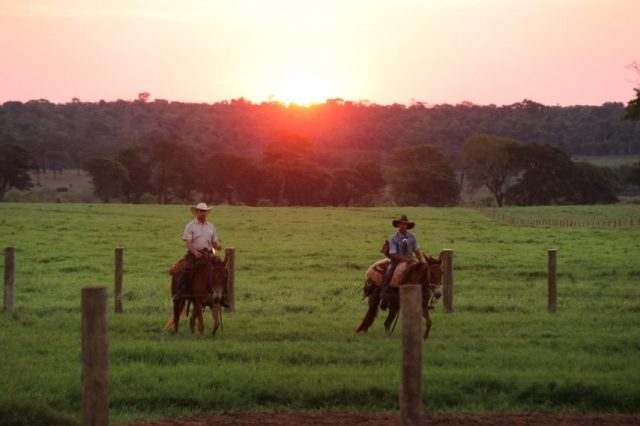 vaqueiros ao por do sol vaqueiros ao por do sol