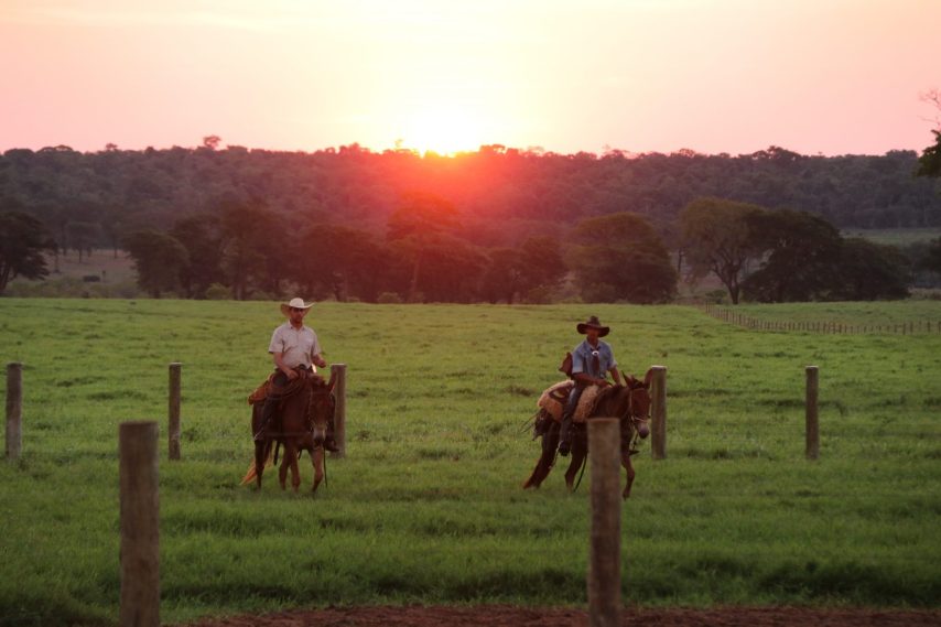 vaqueiros ao por do sol