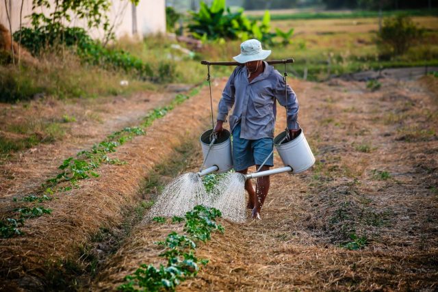 agricultura familiar