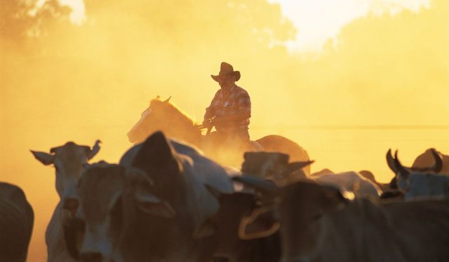 100-Things-To-Do-Before-You-Die-049-Get-A-Raw-hide-On-A-Cattle-Muster