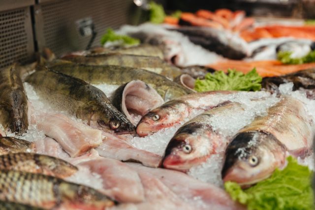 O mercado de peixes da piscicultura no Brasil O mercado de peixes da piscicultura no Brasil