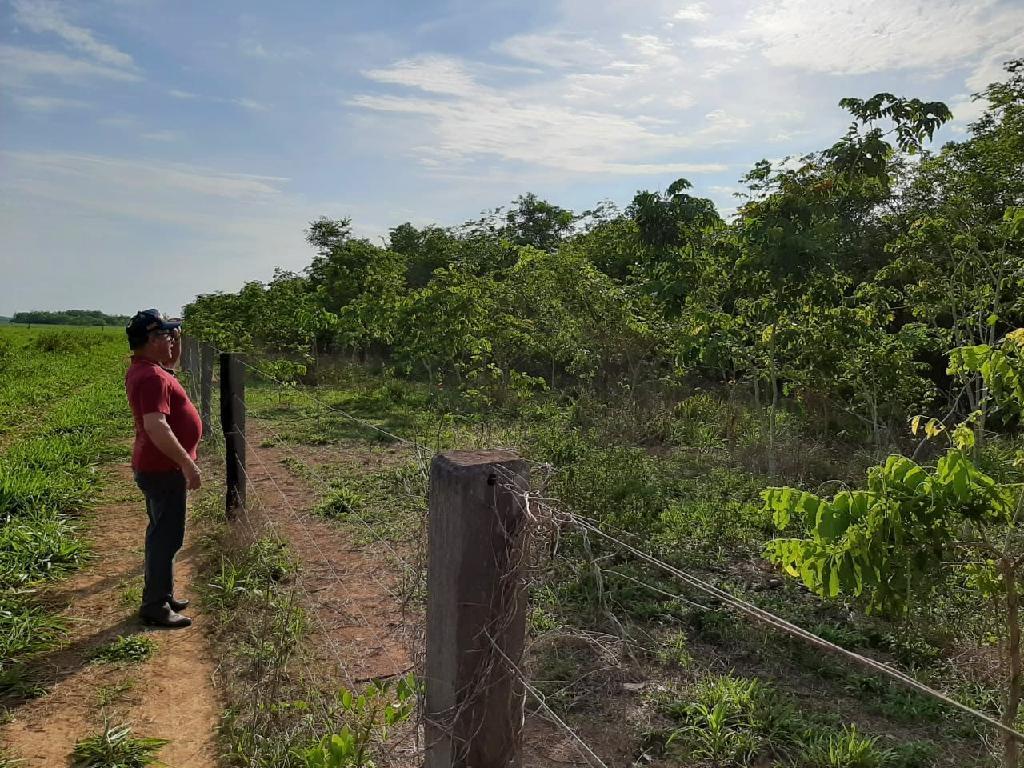 Pecuarista-de-Canarana-MT-mostra-reflorestamento-feito-em-pasto-de-sua-propriedade-rural-Foto-AGR-Notícias