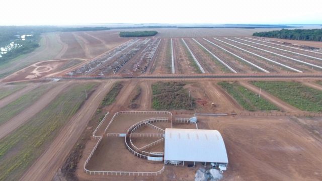 confinamento-da-agropecuaria-monte-cristo-vilhena