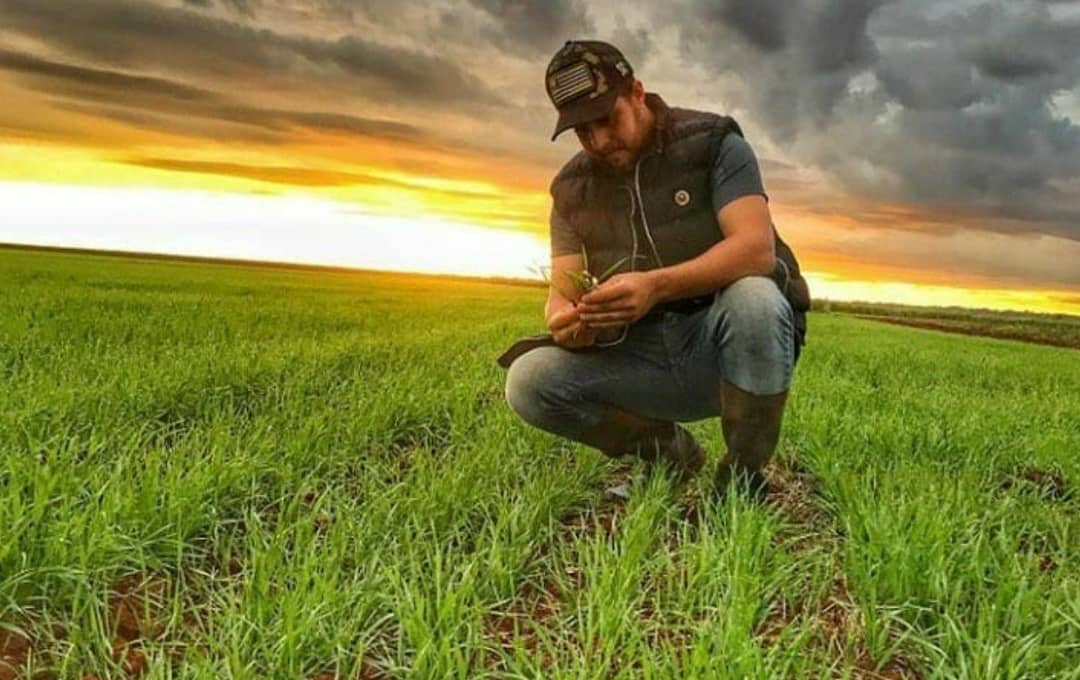 engenheiro agrônomo