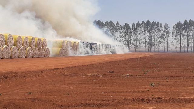 incendio no grupo sheffer 3