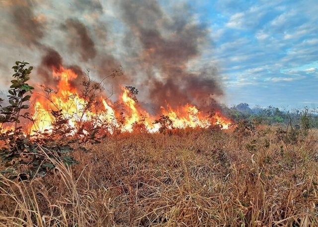 indendios em mato grosso indendios em mato grosso