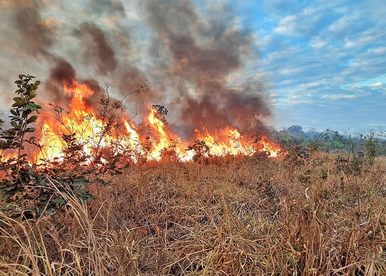 indendios em mato grosso