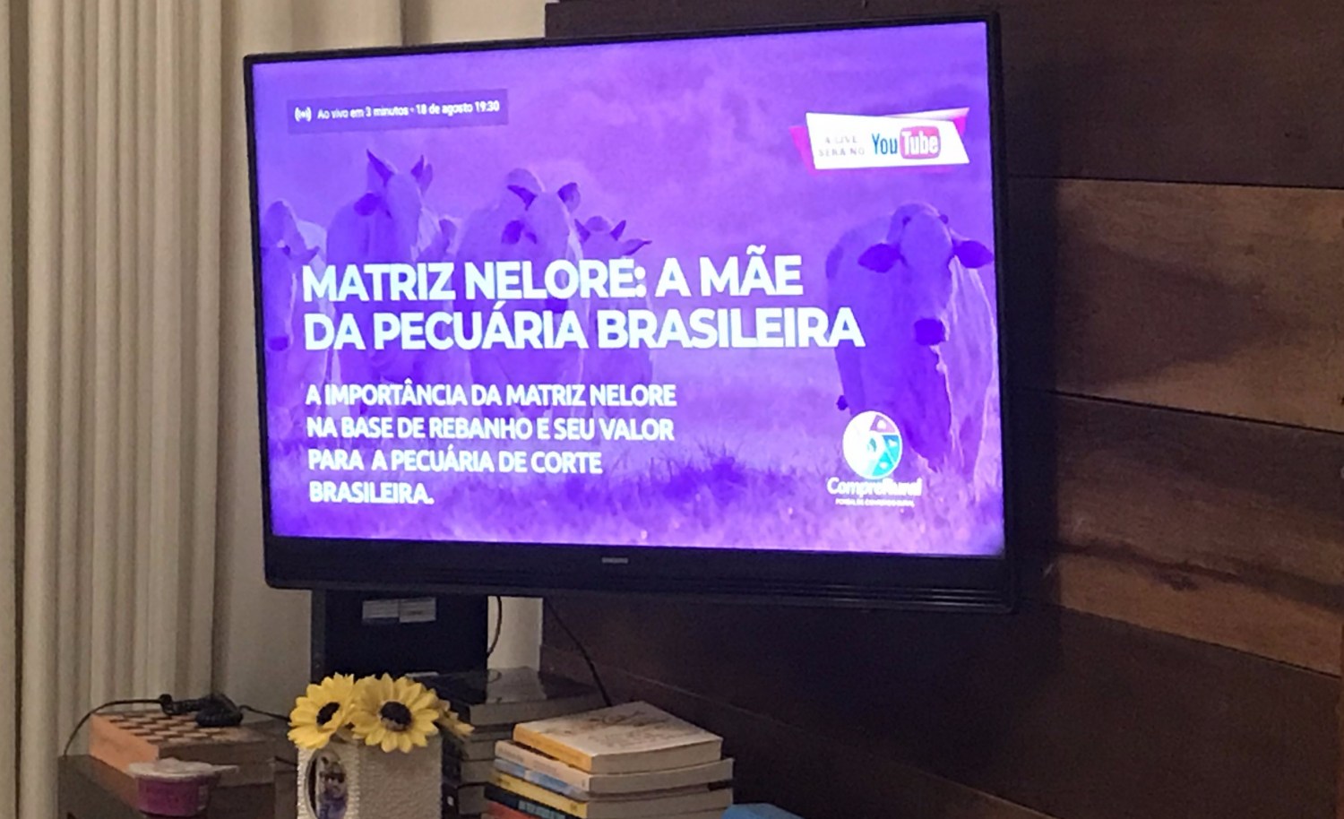 live da raca nelore - matriz