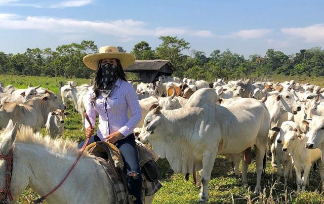 pecuaria de corte mulher em cavalo tocando o gado Aliny Lacerda de Bruno