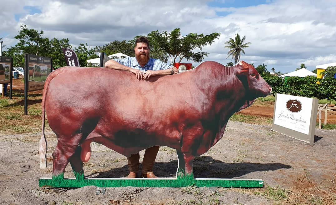 roberto barcellos com o touro justus santa gertrudis