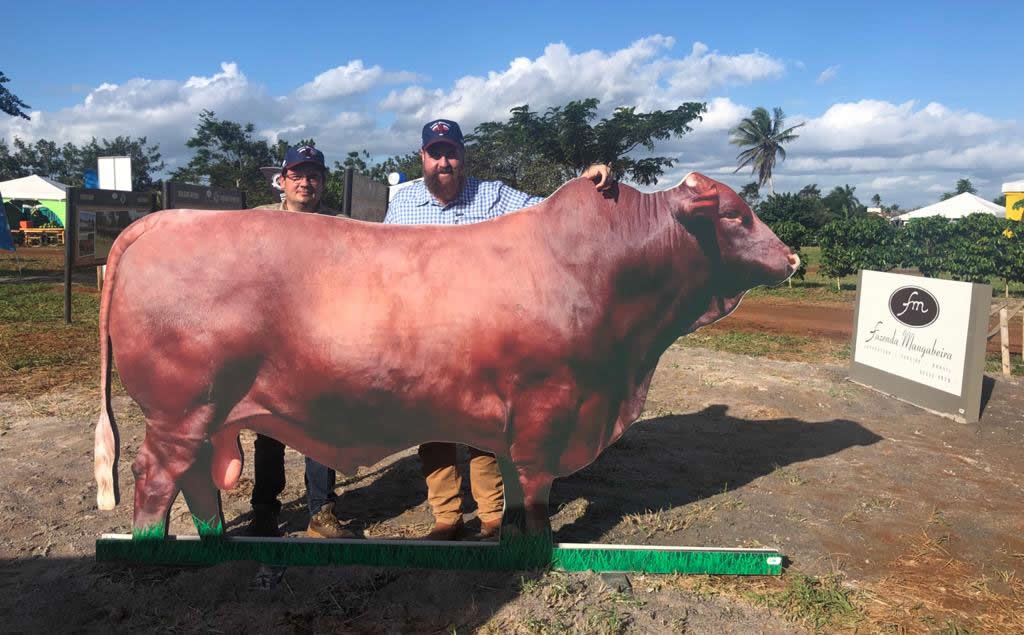 roberto barcellos e gustavo barreto com o touro justus santa gertrudis