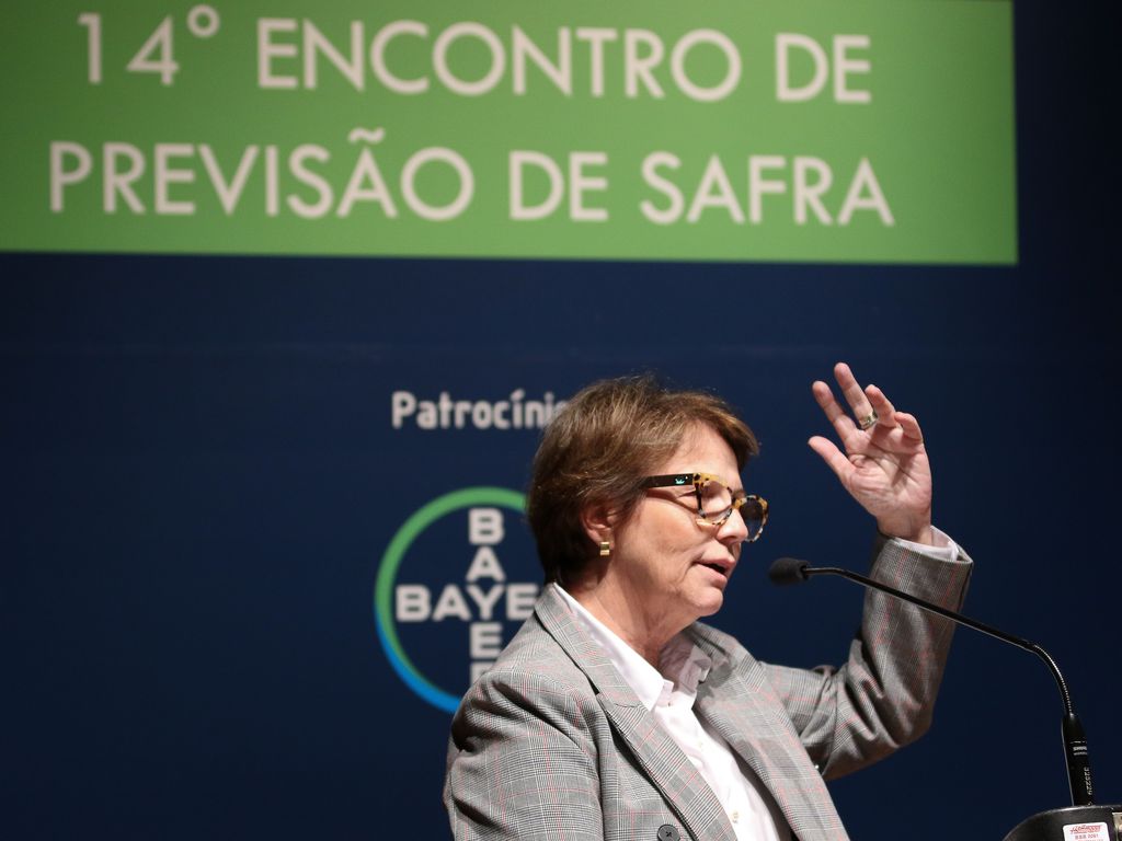 A ministra da Agricultura, Pecuária e Abastecimento, Tereza Cristina