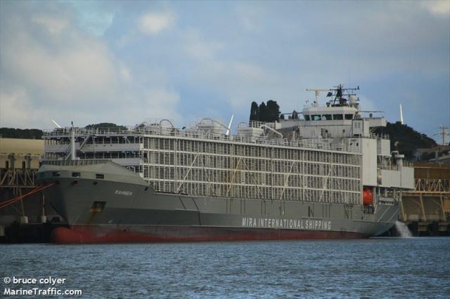 CETUS_J (1)