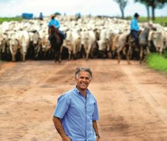 Negrão Fazenda Conforto