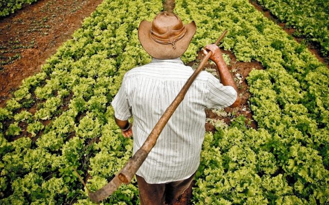 agricultura_familiar_800_0