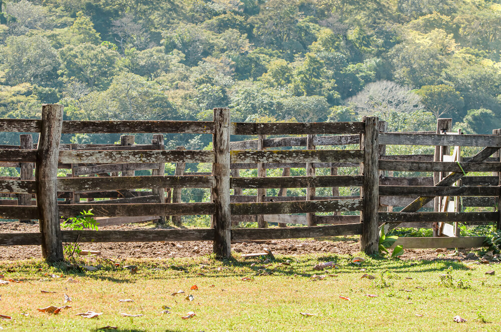 fazenda no mato grosso do sul