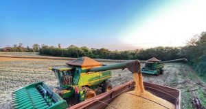 fim da colheita de milho