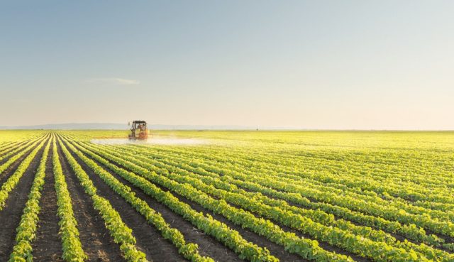 Fundo visa captar R$ 750 milhões para investir no agro brasileiro Fundo visa captar R$ 750 milhões para investir no agro brasileiro