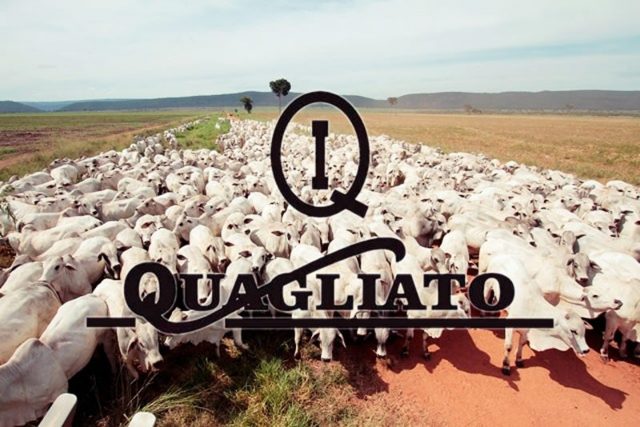 11 mandamentos do pecuarista de sucesso
