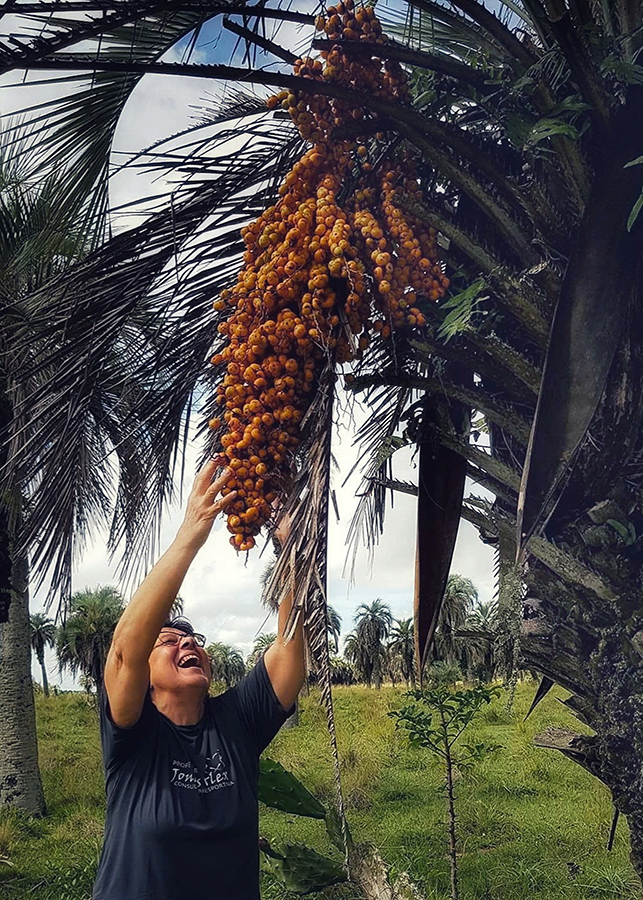 A socióloga Carmen Heller Barros cuida do butiazal, na propriedade da família, como um local sagrado, que abriga um ecossistema valioso