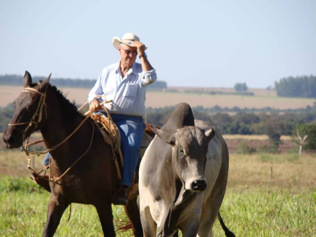 Agropecuária J Machado - patriarca