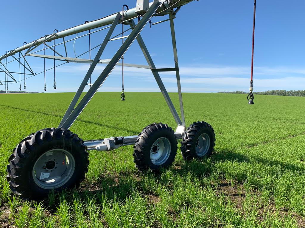 Arroz irrigado ganha espaço no sistema rotacionado