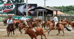 Final Campereada 2019 - Crédito Leandro Vieira ABCCC Divulgação