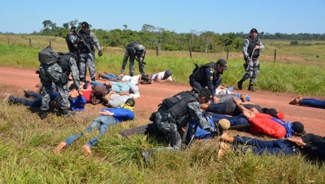 POLICIA ROUBO DE GADO DOIS