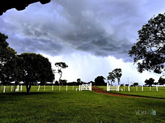 chuva na fazenda chegando