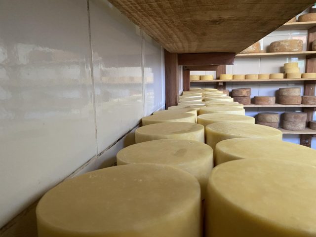 queijo mineiro dalagoa