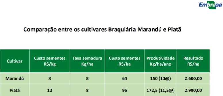 resultado por hectare pecuaria de corte uso capim certo 2