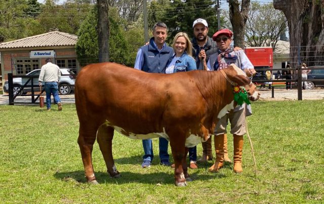 A terneira Escarapela, da Fazenda Esperança, foi valorizada por R$ 112 mil A terneira Escarapela, da Fazenda Esperança, foi valorizada por R$ 112 mil