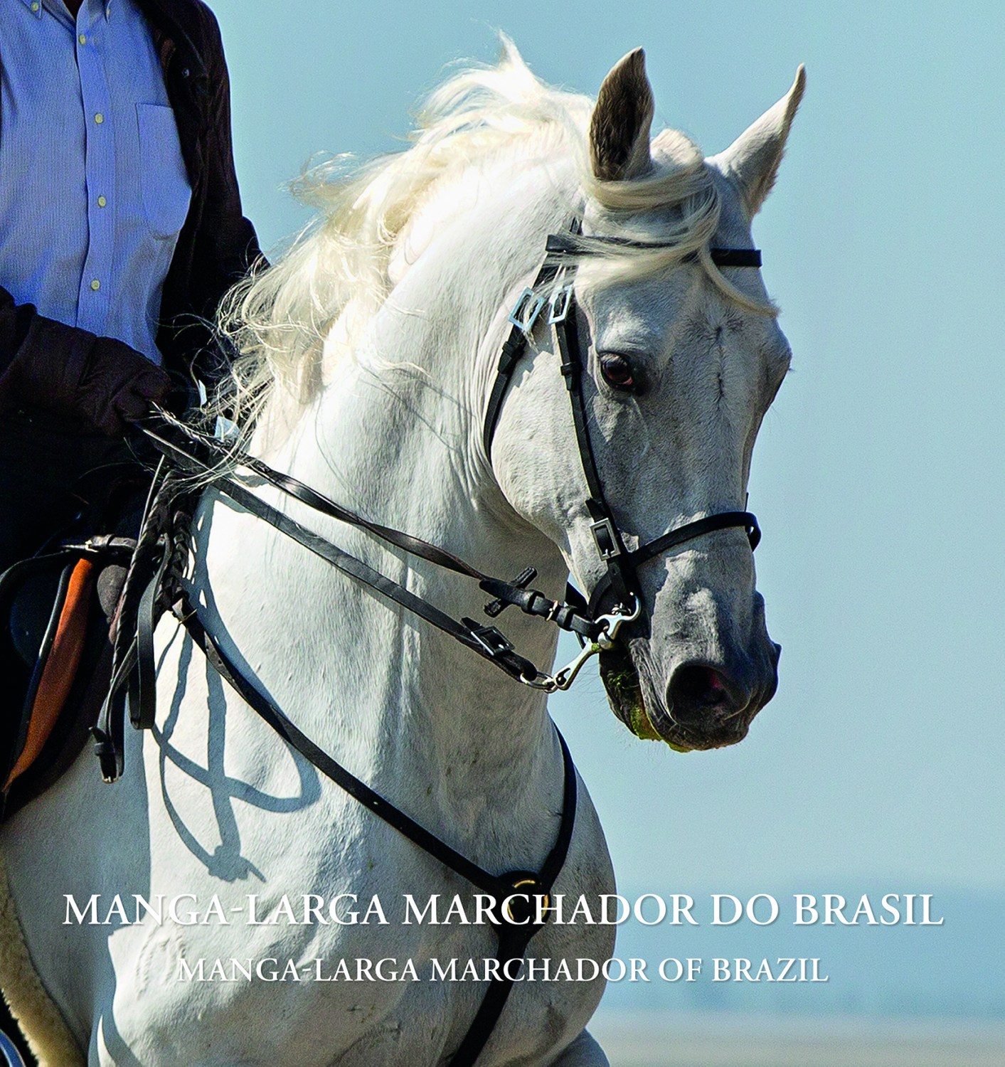 Manga-larga Marchador do Brasil – A história da raça e cavalgadas pelo mundo
