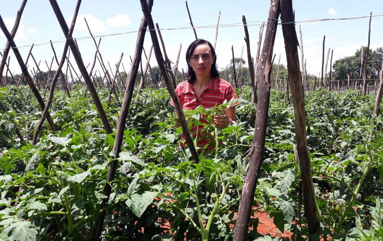 Mulheres representam 80- dos fornecedores de produtos para o Programa de Aquisição de Alimentos
