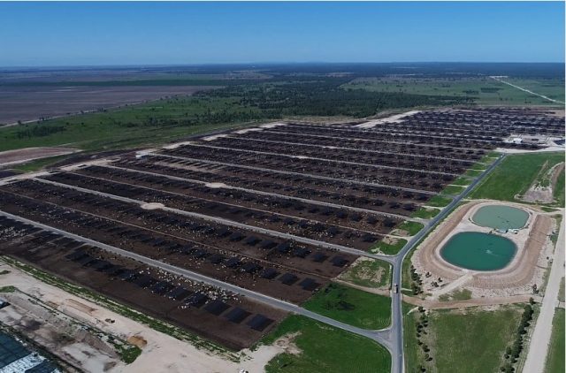 Grassdale Feedlot