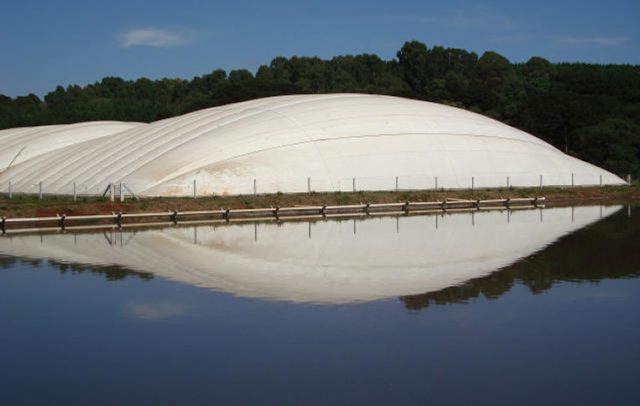 biodigestores suinos biodigestores suinos