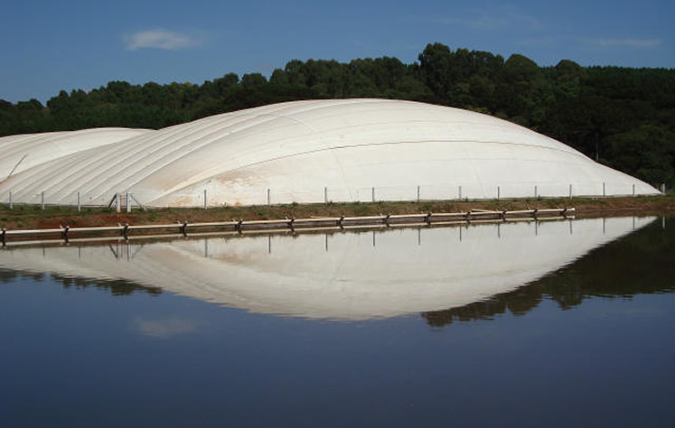 biodigestores suinos