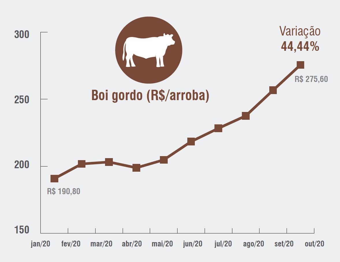 cotacao da boi gordo - variacao