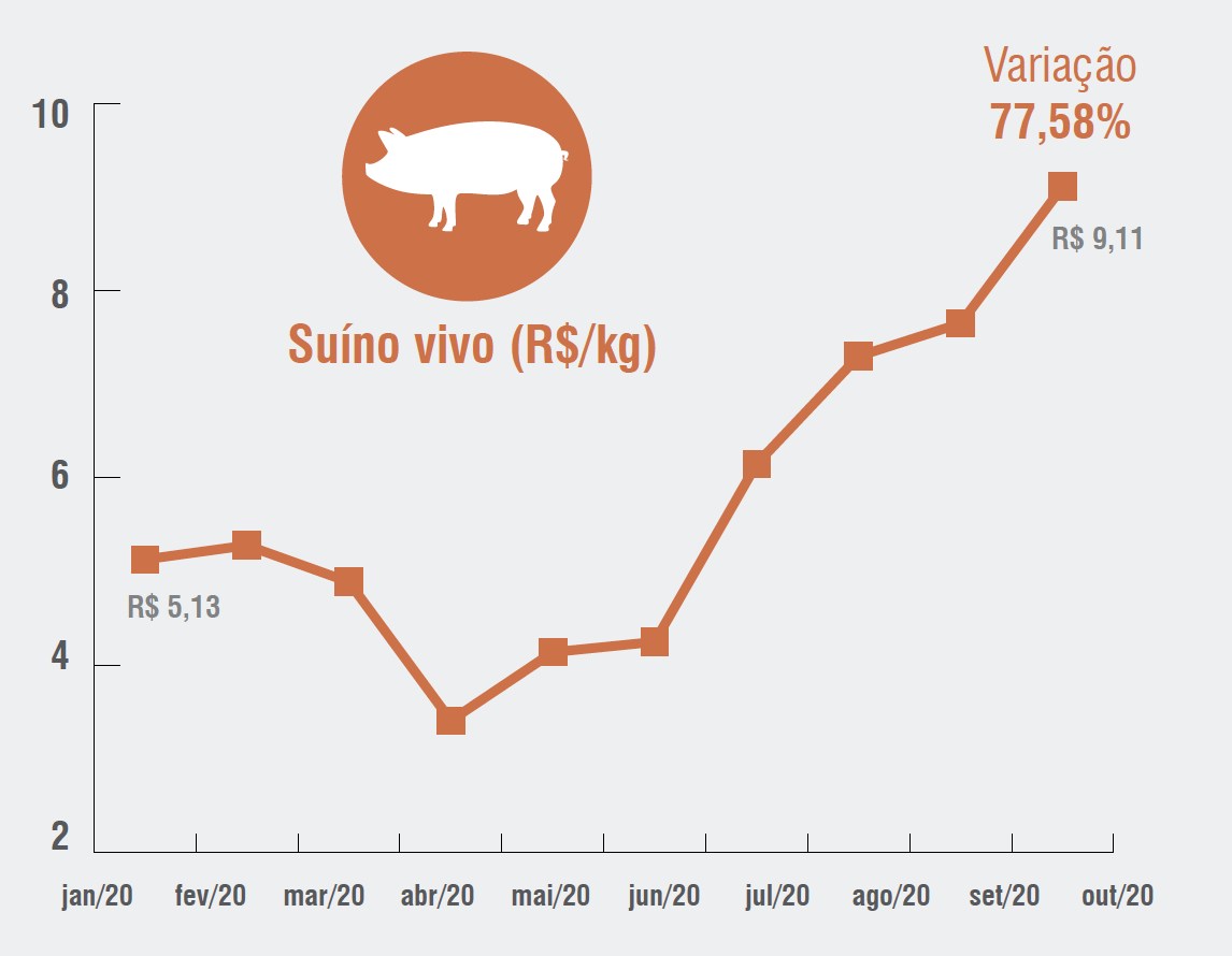 cotacao da suino - variacao