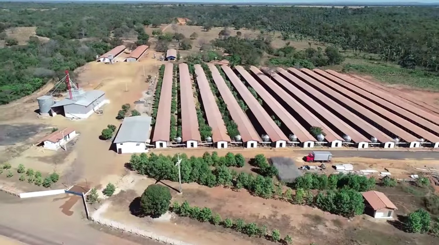 granja mergulhao em balsas maranhao