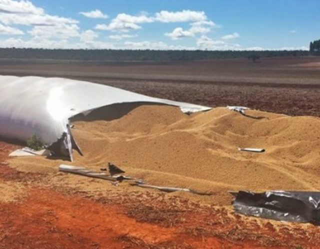 ladrões destroem silos de soja