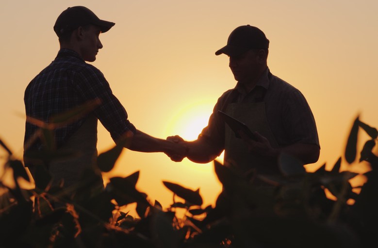 sucessao familiar acerto na fazenda