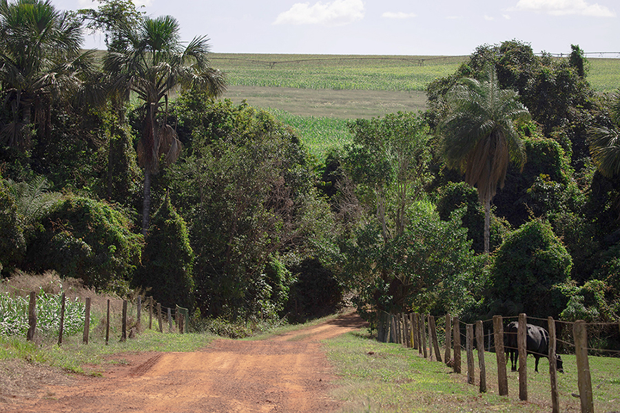 Prazo para Cadastro Ambiental Rural encerra nesta quinta-feira